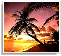 Goa Beach