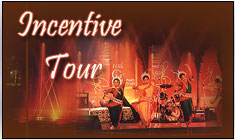 Incentive  Tours, travel maker,India travel planner,tour with allindia,allindia tour operator,tour operator in India,tour operators,India tour operators