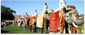 rajasthan tours, Pushkar fair tour, Rajasthan Wildlife Tours, Rajasthan Tribal Tour, Rajasthan with Taja Mahal Tours