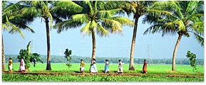 South India Tours, South India Backwater Tour, South India Beach Tour, South India Ayurveda Tour Packages, Kerala South India Tour