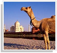 Taj Mahal - Agra