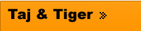 Taj & Tiger